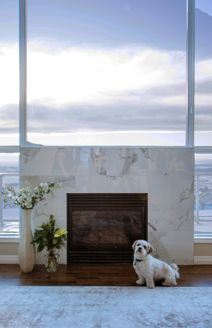 A small white dog sits in front of a fireplace with a marble surround. Large windows behind the fireplace reveal a bright, cloudy sky. Two vases with flowers are placed on either side.